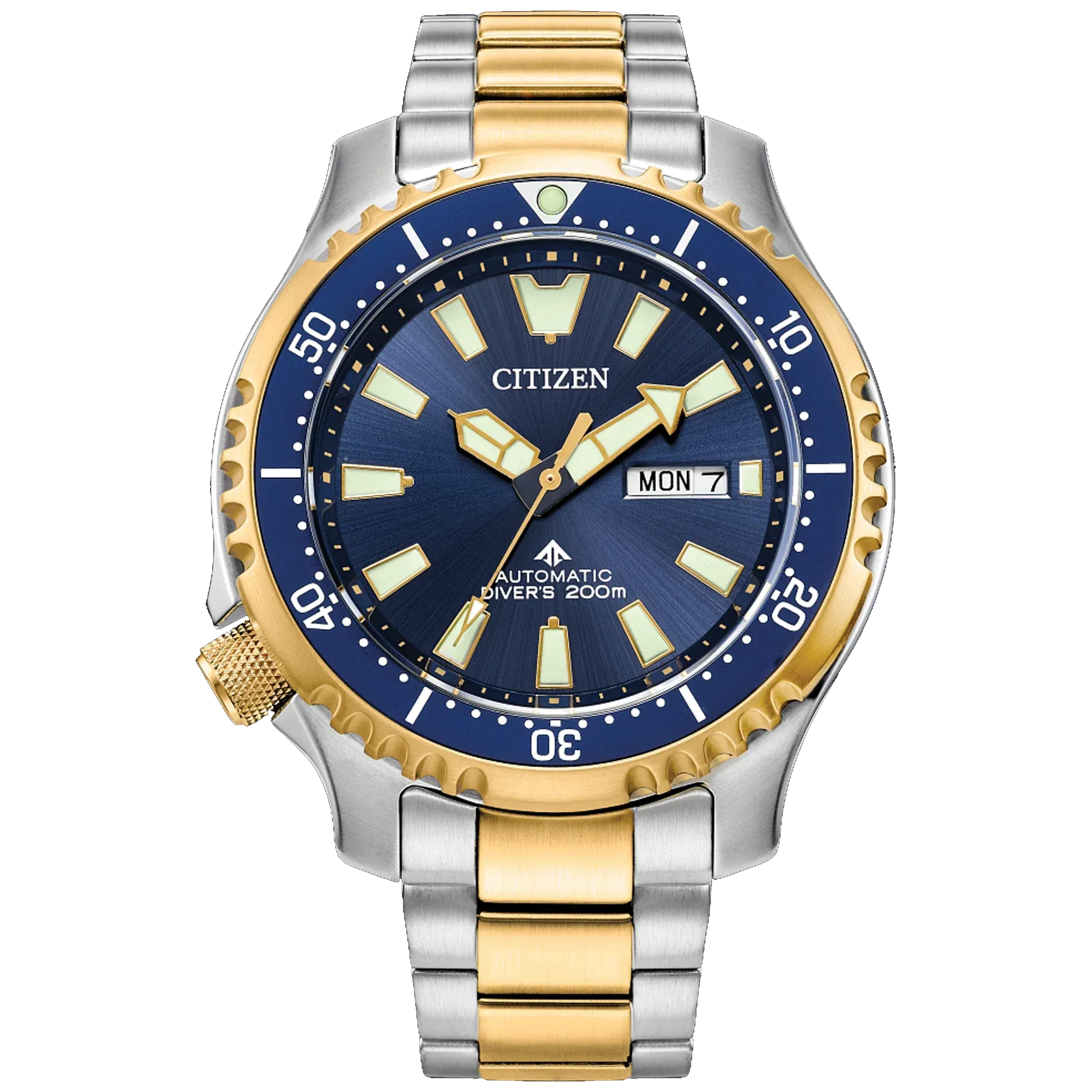 CITIZEN PROMASTER DIVE AUTOMATIC NY0154-51L