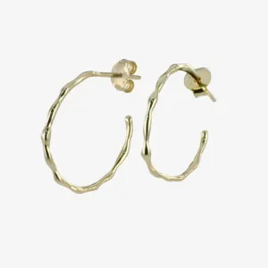 Hula Hoop Earrings