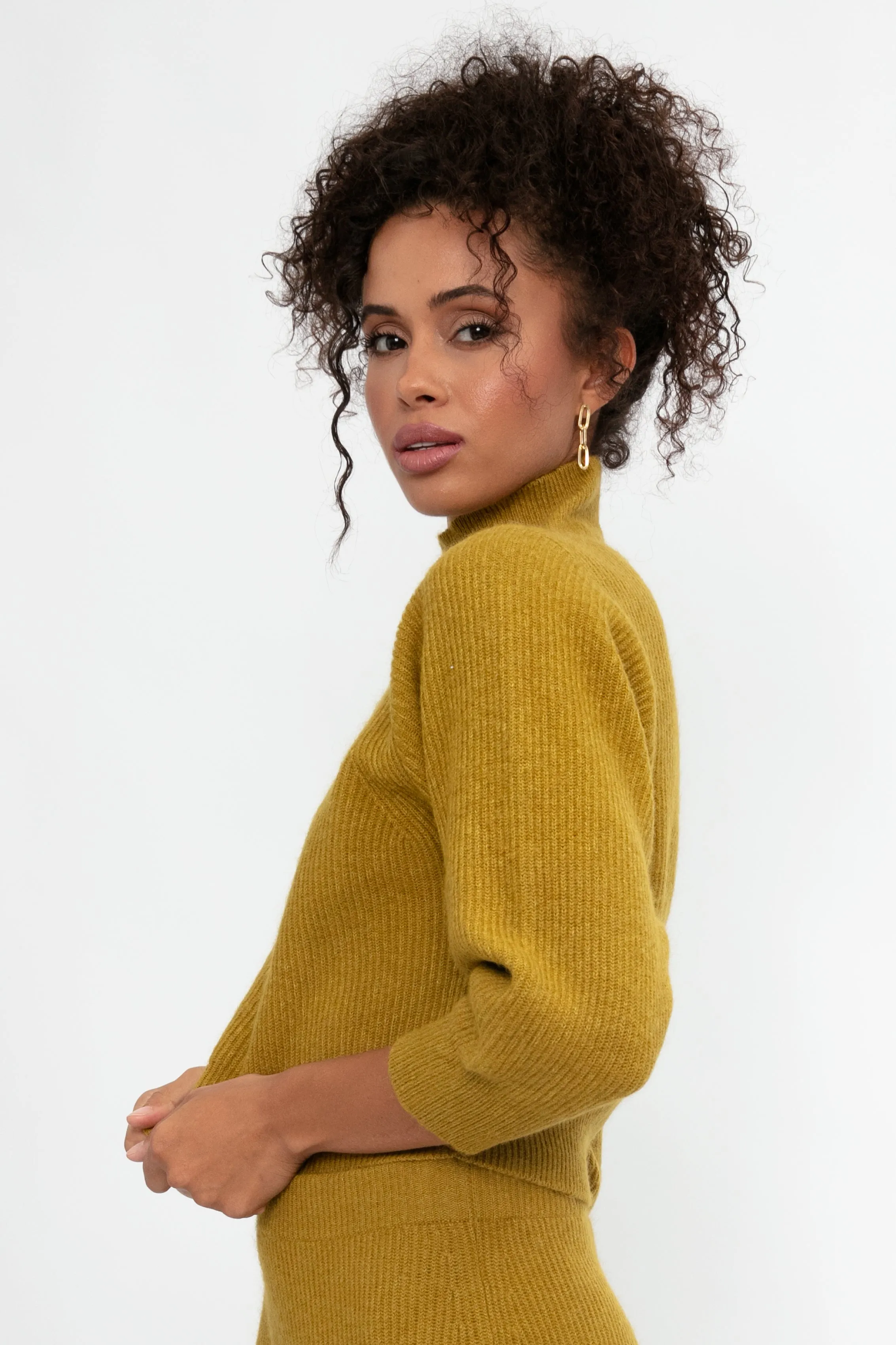 Platinum and Mohair High Neck Sweater in Curry