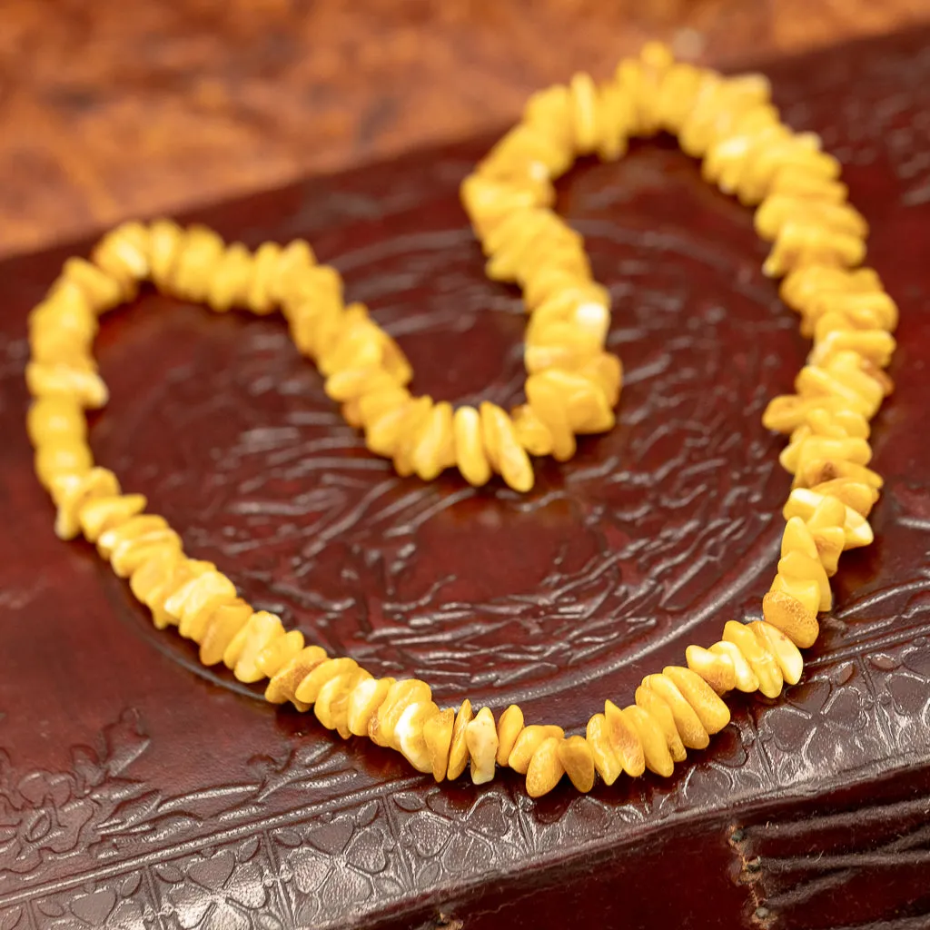 Polished Baltic Amber Necklace