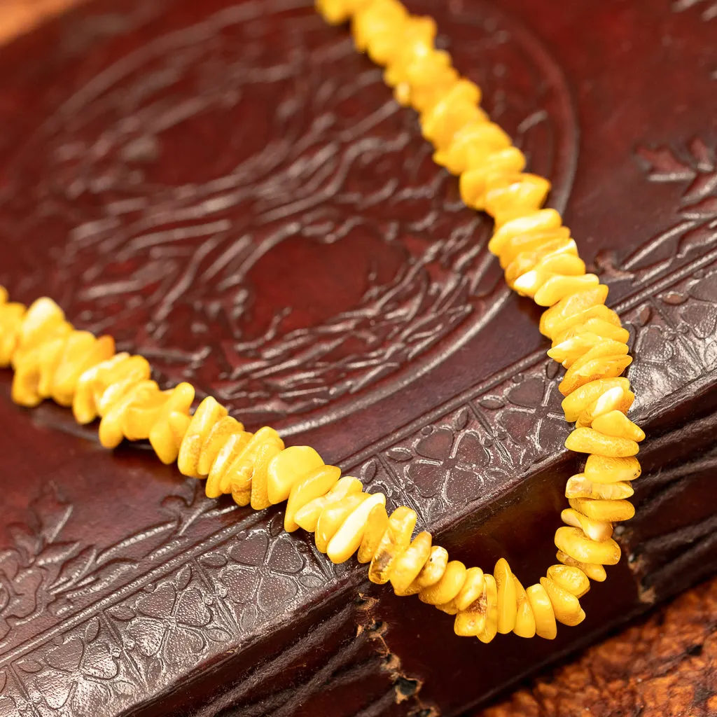 Polished Baltic Amber Necklace